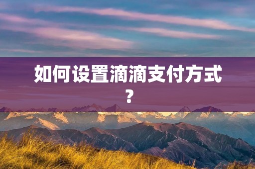 如何设置滴滴支付方式?