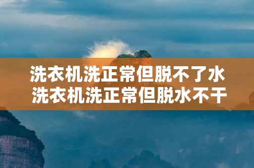洗衣机洗正常但脱不了水 洗衣机洗正常但脱水不干