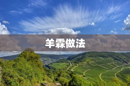 羊霖做法：一道美味的传统美食