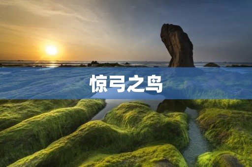 惊弓之鸟：心理学中的术语与现实生活