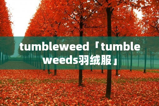tumbleweed「tumbleweeds羽绒服」