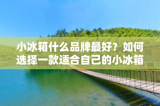 小冰箱什么品牌最好？如何选择一款适合自己的小冰箱？