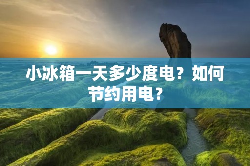 小冰箱一天多少度电？如何节约用电？