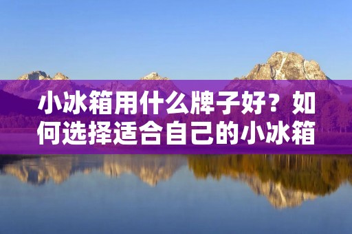 小冰箱用什么牌子好？如何选择适合自己的小冰箱？