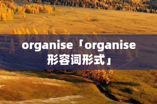 organise「organise形容词形式」