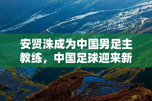 安贤洙成为中国男足主教练，中国足球迎来新希望