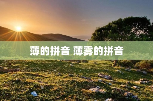 薄的拼音 薄雾的拼音
