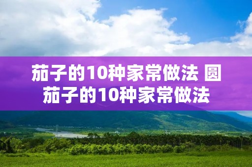 茄子的10种家常做法 圆茄子的10种家常做法