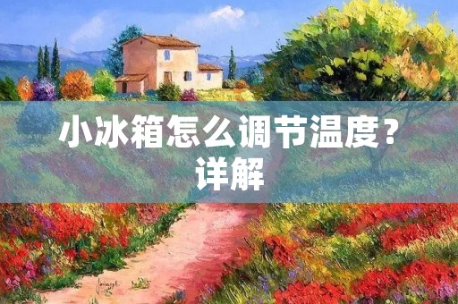 小冰箱怎么调节温度？详解
