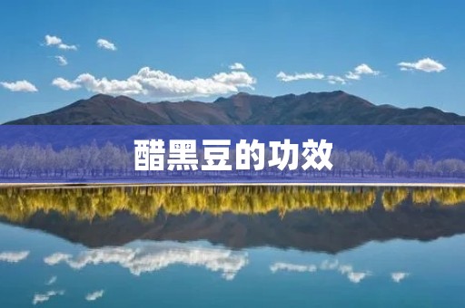 醋黑豆的功效：预防疾病、美容养颜