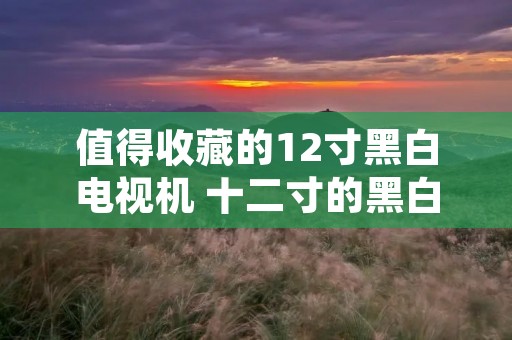 值得收藏的12寸黑白电视机 十二寸的黑白电视机