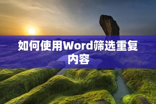 如何使用Word筛选重复内容