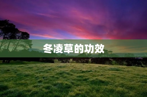 冬凌草的功效:从多个角度解读这个神奇的中草药 冬凌草的功效:从多个角度解读这个神奇的中草药