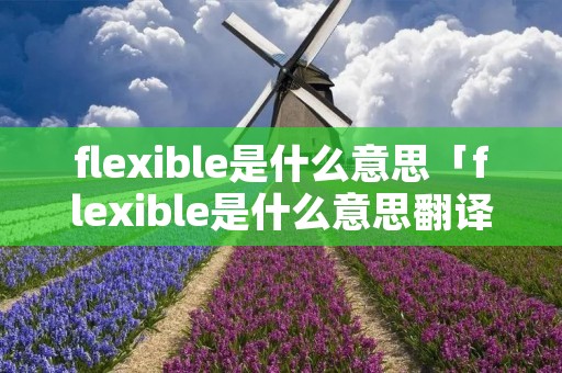 flexible是什么意思「flexible是什么意思翻译成中文」