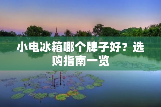 小电冰箱哪个牌子好？选购指南一览