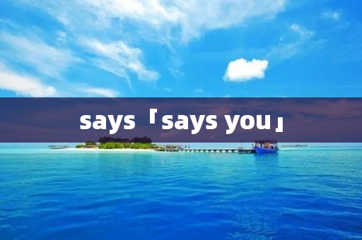 says「says you」 says「says you」