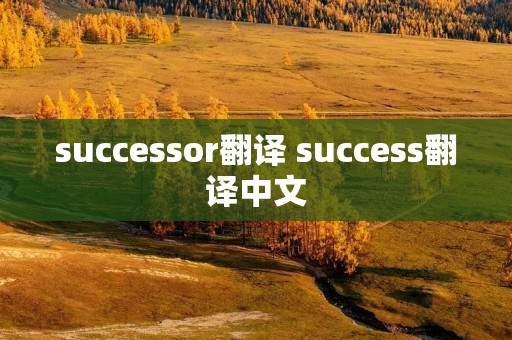 successor翻译 success翻译中文 successor翻译 success翻译中文