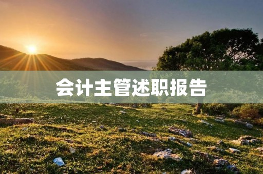 会计主管述职报告:财务管理与业务发展的平衡