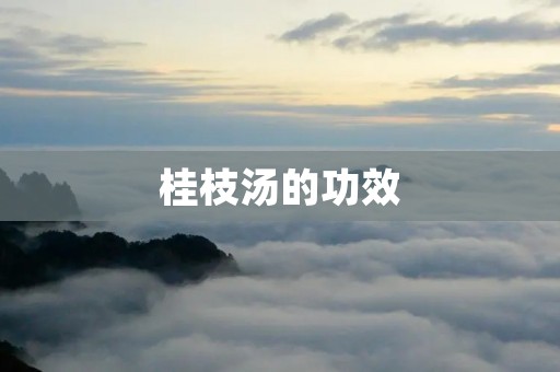 桂枝汤的功效：舒筋活血，解表散寒