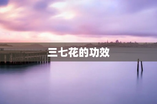 三七花的功效:神奇的中药材 三七花的功效:神奇的中药材