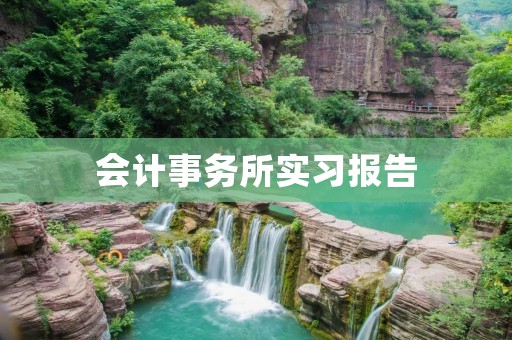 会计事务所实习报告