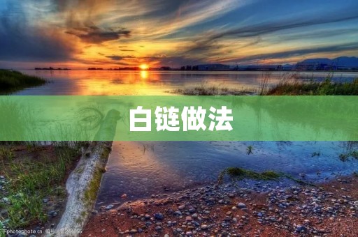 白链做法:区块链技术的新起点 白链做法:区块链技术的新起点