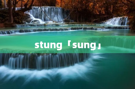 stung「sung」