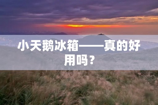 小天鹅冰箱——真的好用吗? 小天鹅冰箱——真的好用吗?