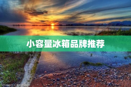 小容量冰箱品牌推荐：为家庭生活提供便利