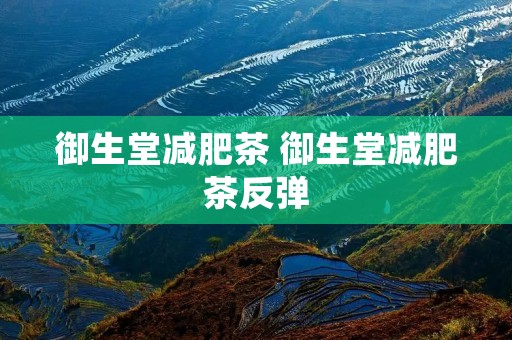 御生堂减肥茶 御生堂减肥茶反弹