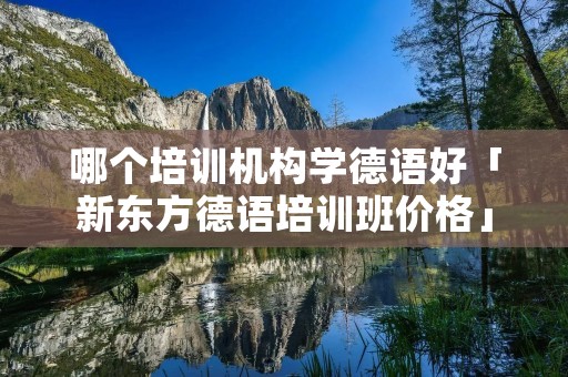 哪个培训机构学德语好「新东方德语培训班价格」 哪个培训机构学德语好「新东方德语培训班价格」