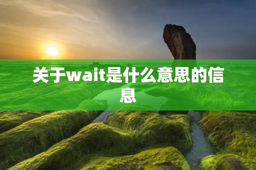 关于wait是什么意思的信息