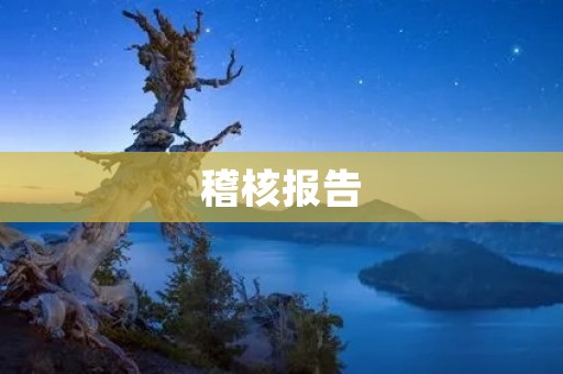稽核报告:揭示企业内部管理漏洞