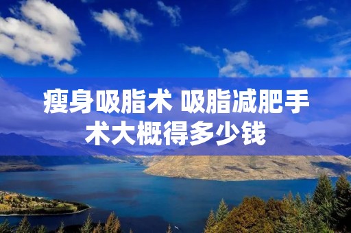 瘦身吸脂术 吸脂减肥手术大概得多少钱
