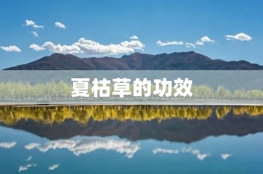 夏枯草的功效:祛湿解毒,润肺止咳,清热解毒,降血脂 夏枯草的功效:祛湿解毒,润肺止咳,清热解毒,降血脂