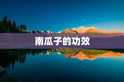 南瓜子的功效：保健养生的好帮手