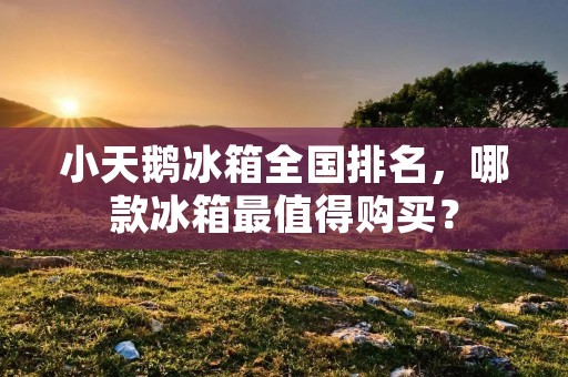 小天鹅冰箱全国排名，哪款冰箱最值得购买？