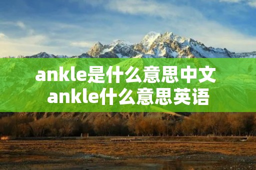 ankle是什么意思中文 ankle什么意思英语