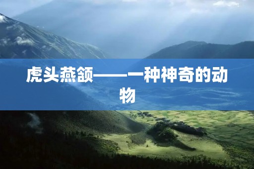 虎头燕颔——一种神奇的动物 虎头燕颔——一种神奇的动物