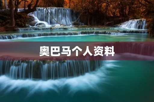 奥巴马个人资料：美国历史上第一位非裔总统