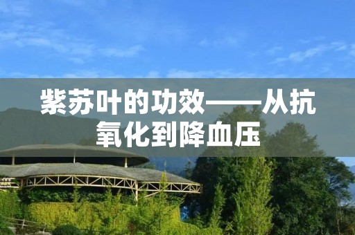 紫苏叶的功效——从抗氧化到降血压 紫苏叶的功效——从抗氧化到降血压
