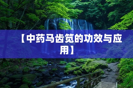 【中药马齿笕的功效与应用】 【中药马齿笕的功效与应用】
