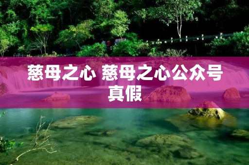 慈母之心 慈母之心公众号真假