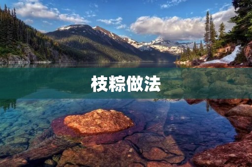 枝粽做法:传统手艺,传承美味 枝粽做法:传统手艺,传承美味