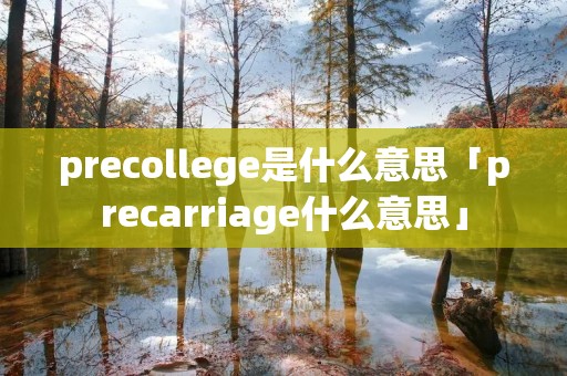 precollege是什么意思「precarriage什么意思」