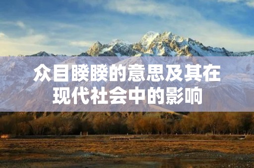 众目睽睽的意思及其在现代社会中的影响