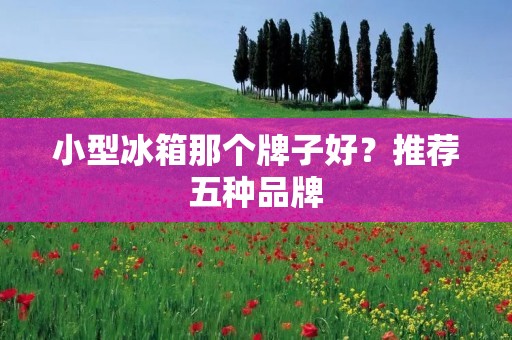 小型冰箱那个牌子好?推荐五种品牌 小型冰箱那个牌子好?推荐五种品牌