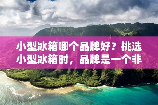 小型冰箱哪个品牌好？挑选小型冰箱时，品牌是一个非常重要的考虑因素。不同的品牌提供不同的质量、性能、价格和功能。在这篇文章里，我们将会探讨几个最受欢迎的小型冰箱品牌，以及它们的特点和优点。