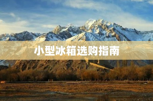 小型冰箱选购指南：哪些品牌值得信赖？