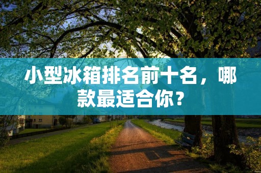 小型冰箱排名前十名，哪款最适合你？